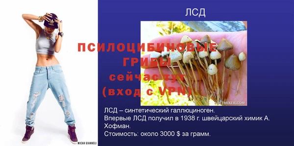 прущие крисы Кулебаки
