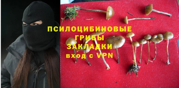 круглые Лагань