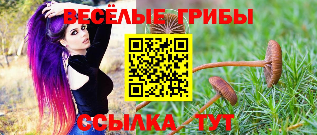 Янаул  Псилоцибиновые грибы Psilocybine cubensis  Вход с VPN  Псилоцибиновые грибы мухоморы 